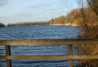 [Kleine Plas}